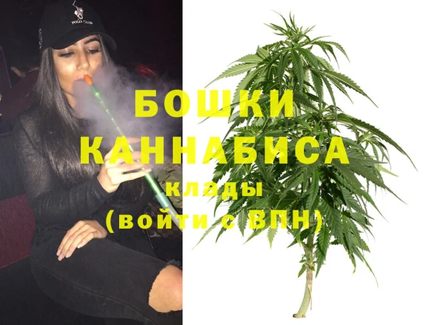 шишки Бронницы